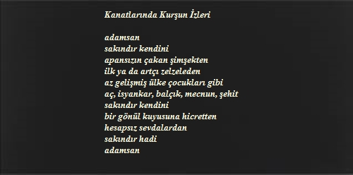 KANATLARINDA KURŞUN İZLERİ / İZZET SALDAMLI (Devamı..)
